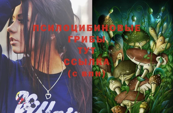 тгк Михайлов