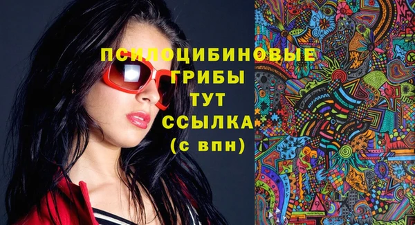тгк Михайлов