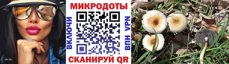 цена наркотик Партизанск ОМГ ОМГ зеркало Псилоцибиновые грибы Psilocybine cubensis