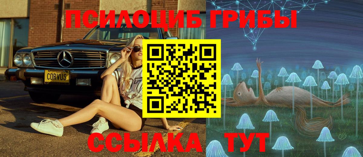 Галлюциногенные грибы Magic Shrooms Партизанск