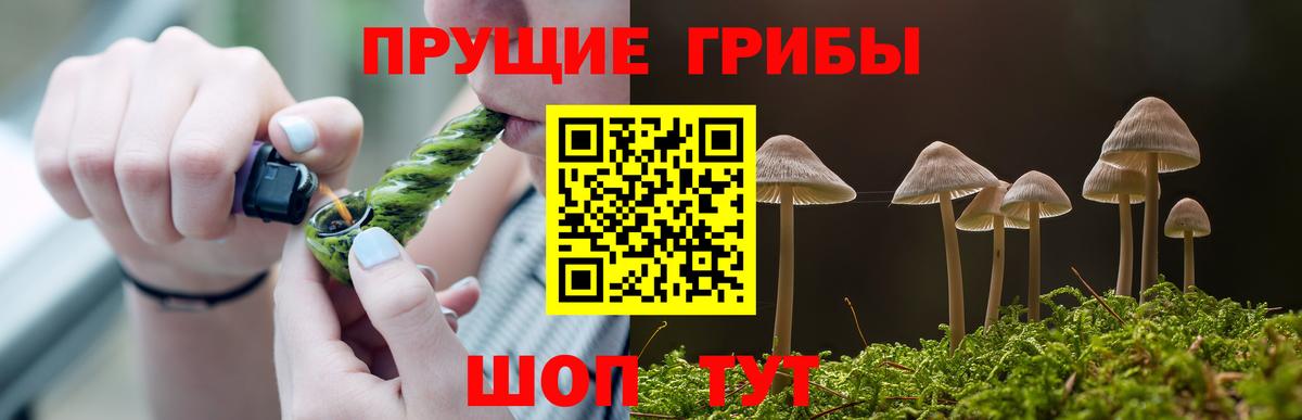 Псилоцибиновые грибы Psilocybe  Вход с VPN  Псилоцибиновые грибы Cubensis  Партизанск 